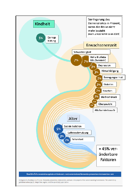 Schaubild mit Angabe der 14 verschiedenen Risikofaktoren für die Entwicklung einer Demenz.