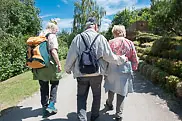 Drei Personen gehen gemeinsam wandern.